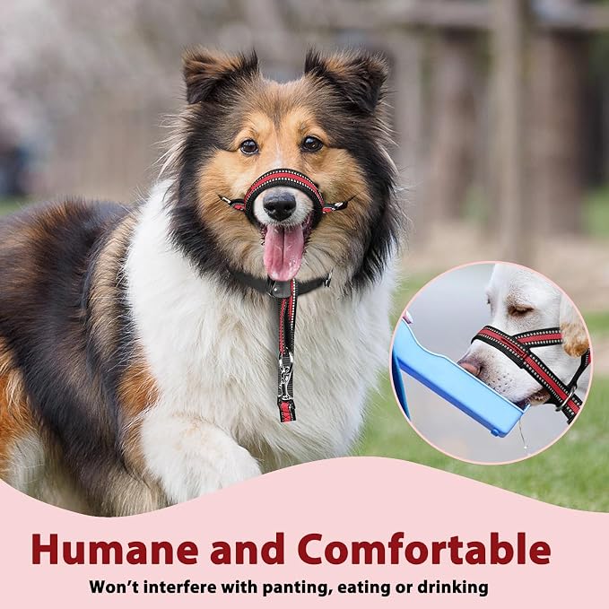 BARKLESS Soft Dog Head Collar, Patented Padded No Pull Head Halter, Training Nose Leash with Safety Link for Medium Large Dogs, Adjustable Muzzle Leash, Easy Control for Walking (M, Red) - Image 7