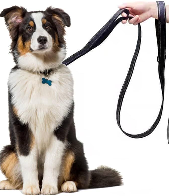 Solmoony 6FT Orange Strong Dog Leash with 2 Padded Handles, Traffic Handle Extra Control, Double-Sided Reflective Walking Lead for Small Medium and Large Dog (Orange, 6FT) - Image 6