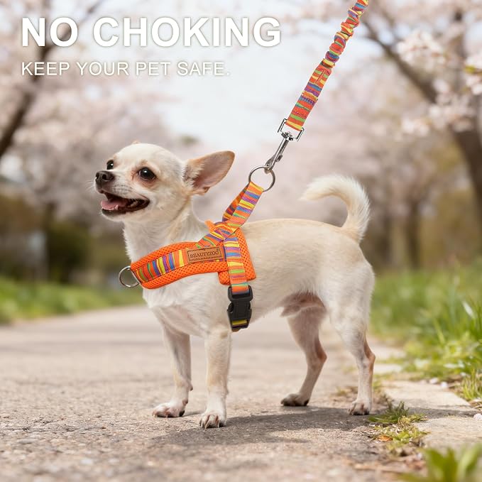 BEAUTYZOO Dog Harness Medium Sized and Leash Set, No Pull Step in Pet Vest | Adjustable Quick Fit No Choke Escape Proof, Breathable with Handle, Lightweight, Easy Control for Walking, Orange M - Image 2