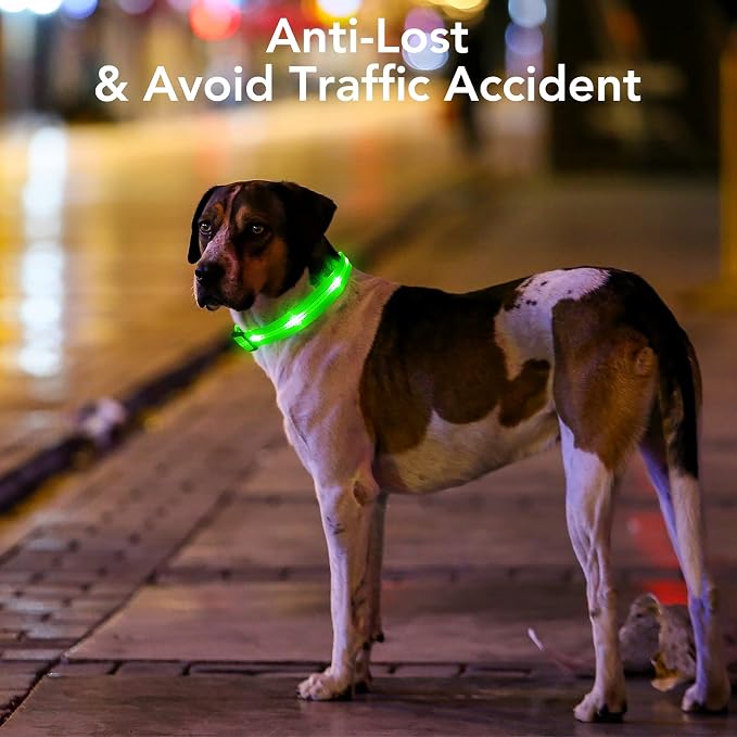 Weesiber Light Up Dog Collars - Rechargeable LED Collar - Reflective Adjustable Dog Lights for Night Walking (Green, Small) - Image 2