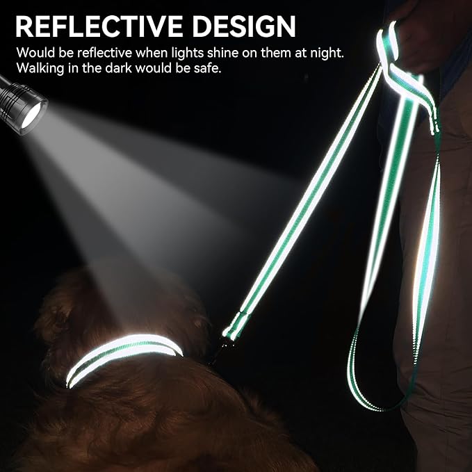 Joytale Reflective Dog Leash for Medium & Large Dogs, 5 FT x 1", Turquoise | Heavy Duty Nylon Webbing, Padded Handle for Comfort, Visible at Night, for Walking & Training - Image 4