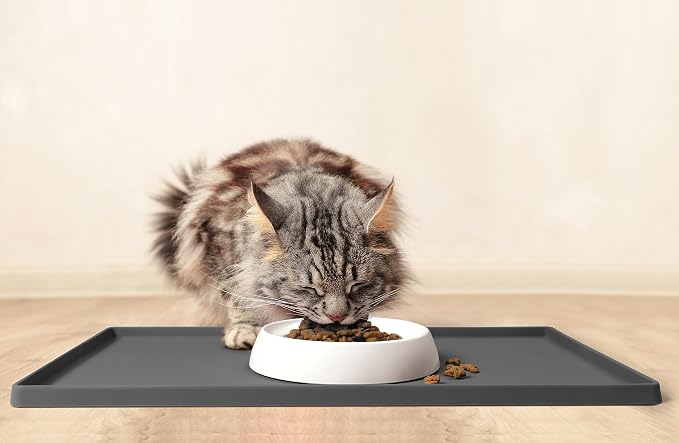 CatGuru Cat Bowls, Whisker Friendly Food Bowl for Indoor Cats, Reliefs Whisker Fatigue, Wide Kitten Dish, Non Slip Pet Dishes, Shallow Pet Plates (Ceramic (Pack of 2)) - Image 7