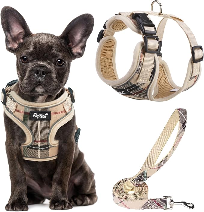 PUPTECK Small Dog Harness and Leash Set No Pull for XS XXS Sized Dogs Puppy | Escape Proof No Choke Pet Cat Adjustable Soft Padded Walking Vest by PUPTECK