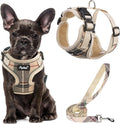 PUPTECK Small Dog Harness and Leash Set No Pull for XS XXS Sized Dogs Puppy | Escape Proof No Choke Pet Cat Adjustable Soft Padded Walking Vest by PUPTECK