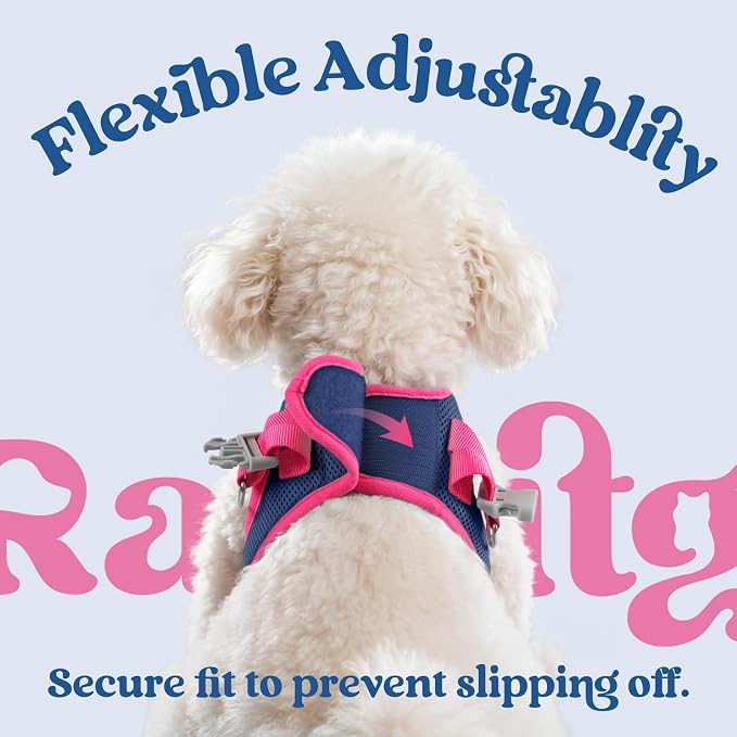 rabbitgoo Dog Harness Small Sized and Leash Set, Step in Soft Vest | Breathable Mesh, Easy Wear with Hook & Loop, Light and Reflective for Walking, Multi-colored, Navy Blue & Rose Red, XXS - Image 6