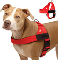 Dog Friendly Co. Dog Harness for Small Dogs (Red, XXSmall) | One Click Buckle, Chafe Resistant Webbing, Adjustable Neck & Chest, and Heavy Duty D-Ring, Sturdy Comfortable and Easy to Use by DogFriendly