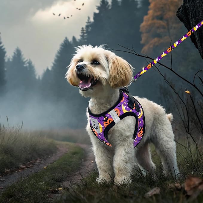 Halloween Puppy Harness - Dog Collar and Leash - Soft Mesh Padded Adjustable Step in Small Dog Vest Harness No Pull, Reflective Escape Proof for Outdoor Walking, Purple S - Image 8