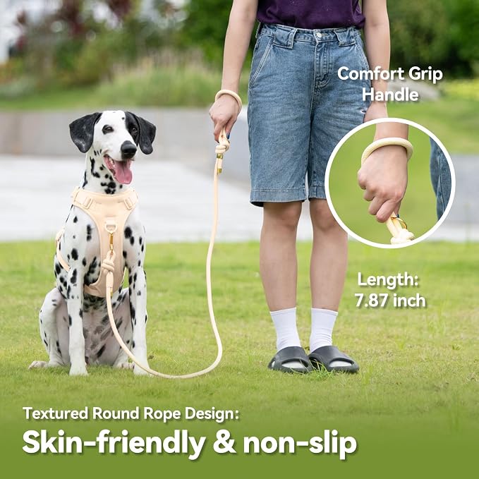 5FT Dog Leash Puppy Cat Rope Lead for Small Medium Large Dogs | Light Yellow, with Anti-tangle Swivel Clip, Comfortable Non-slip Grip Handle, Ideal for Daily Walks and Training - Image 4