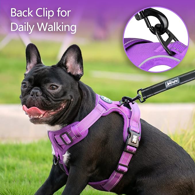 PoyPet No Pull Dog Harness, Reflective Vest with 2 Leash Clips & Handle | Lockable Neck Release Buckle, No Choke, Adjustable, Soft Padded, for Walking Training, Purple Matching Trim, Large - Image 4