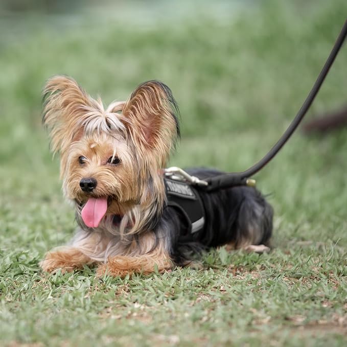 5FT Dog Leash 5/16 inch Puppy Cat Rope Lead | Black, with Anti-tangle Swivel Clip, Comfortable Non-slip Grip Handle, Ideal for Daily Walks, for Small Medium Dogs - Image 9