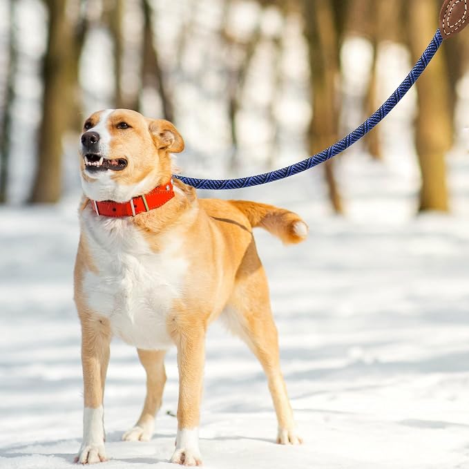 Mile High Life Dog Leash with Genuine Leather-Wrapped Ends, 4/5/6FT | Tangle-Free 360° Swivel Clasp Heavy Duty Rope Leash | Small Medium Large Dogs | Daily Walking (Blue, 60 Inch, 1/2") - Image 3
