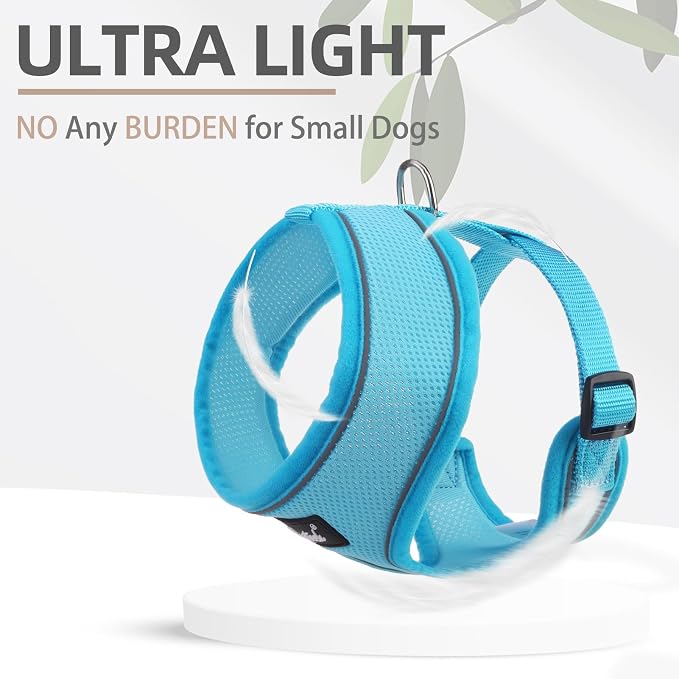 PUPTECK Small Dog Harness and Leash Set No Pull for XS XXS Sized Dogs Puppy | Escape Proof No Choke Pet Cat Adjustable Soft Padded Walking Vest - Image 5
