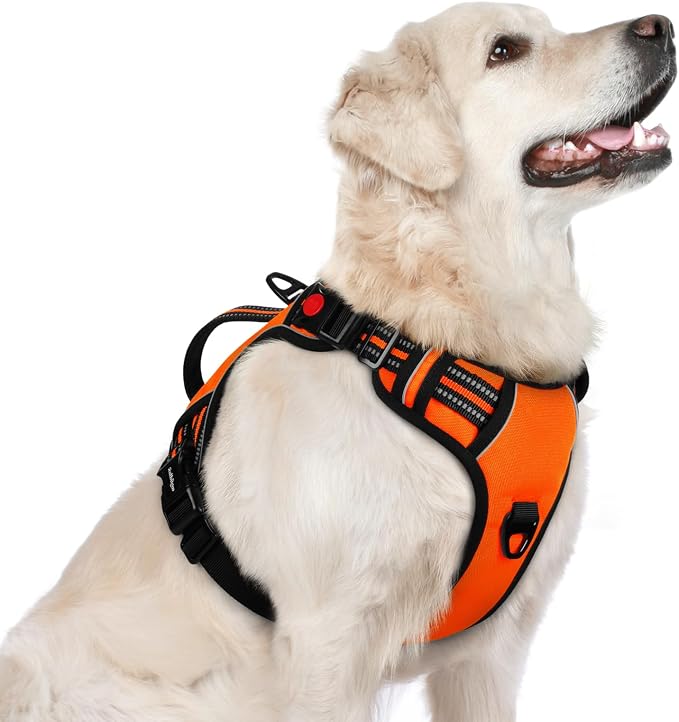 rabbitgoo Large Dog Harness, Easy Wear with 3 Buckles and Lift Handle | No Pull with Front Clip for Walking, Adjustable Soft Padded, Reflective, Easy Control, Orange, Large by rabbitgoo