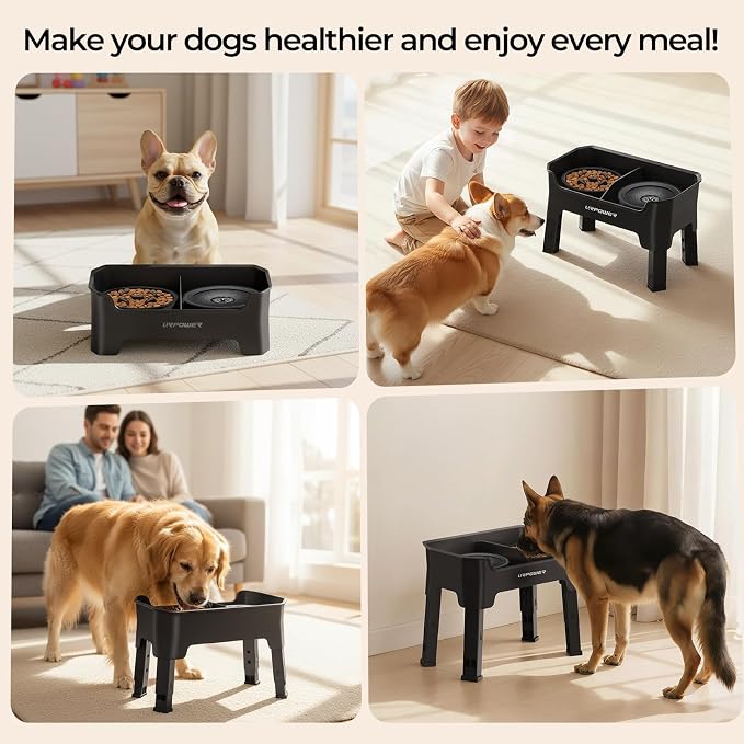 URPOWER Mess Proof Elevated Dog Bowls 4 Height Adjustable Raised Stand | No Spill Water Bowl, Slow Feeder Dog Bowls, Non-Slip Food and Water Bowl Set for Small, Medium & Large Dogs - Image 8