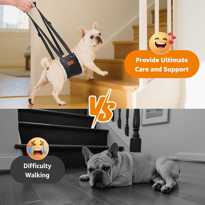 LOOBANI Portable Dog Sling for Small Dogs Hind Leg Support Weak Rear Legs | Walking & Stair Assistance, Senior Dog Mobility, Padded Comfort, Adjustable Fit, Lightweight Nylon, Soft Plush Lining - Image 2