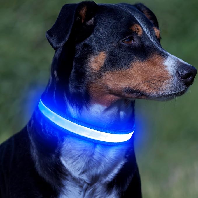 Vizpet LED Dog Collar, Light Up Dog Collar Adjustable USB Rechargeable Super Bright Safety Light Glowing Collars for Dogs(Medium,Blue) - Image 5
