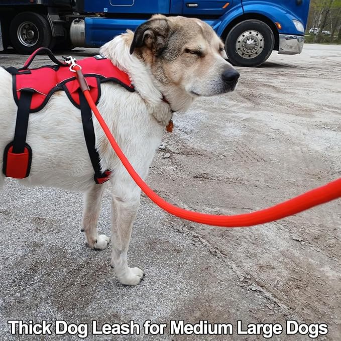 MayPaw 4/6 /8/10 FT Dog Leash, Classic Solid Colors, Strong Nylon Rope Dog Leash Reinforced with Leather Tailor Connection Heavy Duty Silver Clasp (red, 6ft*1/2") - Image 6