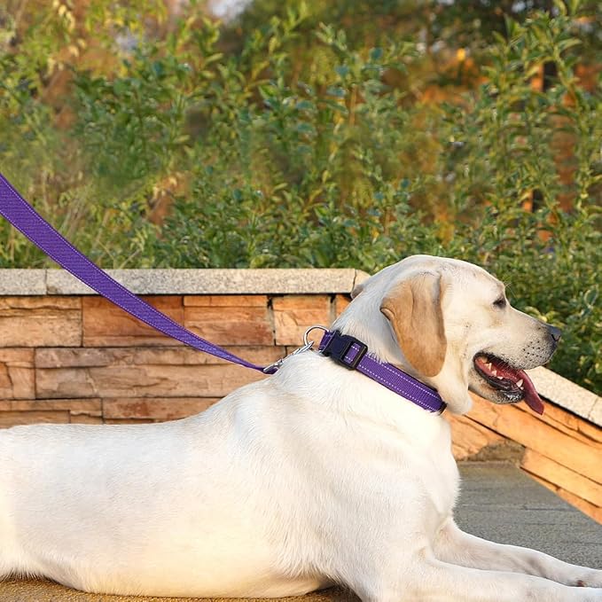 6 FT Basic Dog Leash for Medium Dogs,Purple | Padded Handle,Metal D-Ring,Heavy Duty Nylon Webbing, for Walking & Training - Image 3