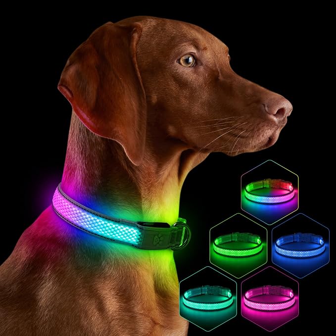 Flashseen Light up Collars for Dogs at Night, RGB 9-Mode, USB Rechargeable | Color Changing LED Lighted Dog Collar, Super Bright Adjustable Glow Collar for Night Walking (Soft Pink, Large) by Flashseen