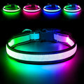 Flashseen Multicolor LED Light Up Dog Collar, RGB 9-Mode, USB Rechargable | Super Bright Lighted Dog Collar, Adjustable Soft Mesh, Glow Collar for Dog Night Walking (White, S) by Flashseen