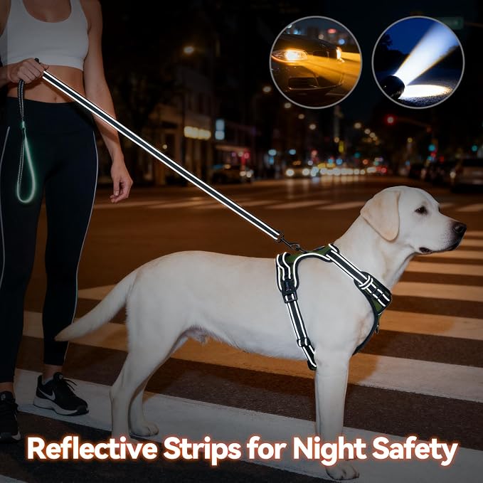 No Pull Dog Harness with Handle Reflective Padded Vest | for Small Medium Large Dogs, Adjustable Puppy Harnesses with Front & Back Clip Easy Walking (S, Misty Green) - Image 6