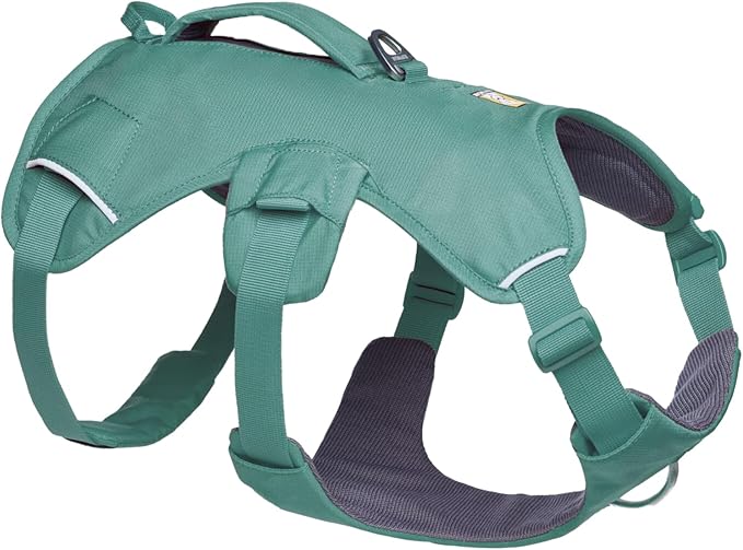 Ruffwear, Web Master, Multi-Use Support Dog Harness, Hiking and Trail Running, Service and Working, Everyday Wear, River Rock Green, XX-Small by RuffwearInc
