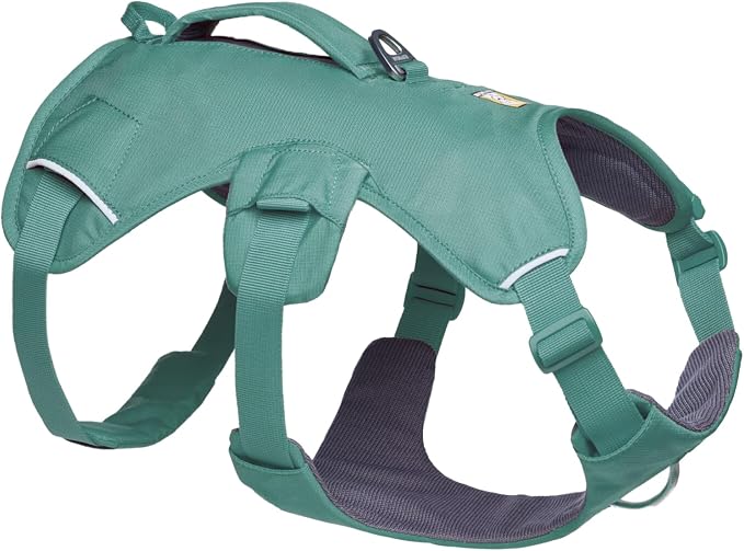 Ruffwear, Web Master, Multi-Use Support Dog Harness, Hiking and Trail Running, Service and Working, Everyday Wear, River Rock Green, Large/X-Large by RuffwearInc