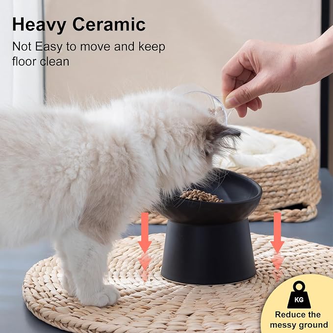 YauYik Ceramic Elevated Cat Bowls - 15°Tilted Cat Food Bowls for Indoor Cats, Whisker Fatigue Relief Shallow Cat Bowl, Anti Vomiting Raised Cat Feeding Bowls,8 Ounces, Black, 2 Pack - Image 5