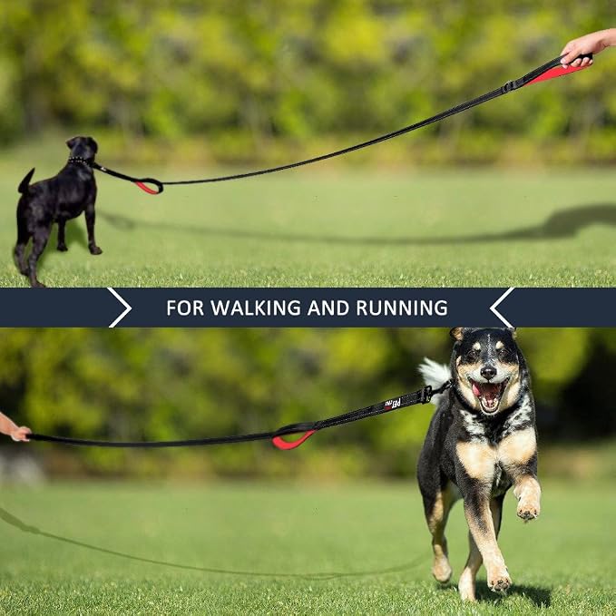 Plutus Pet Double Handle Dog Leash, 6 FT Long, for Medium Large Dogs | Reflective Nylon, Soft Padded 2 Handles, Heavy Duty for Training, Dual Handle Lead, 6 FT x 1”, Black - Image 6