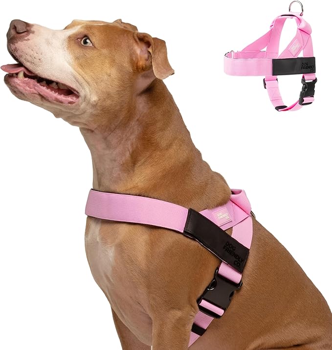 Dog Friendly Co. Dog Harness for Small Dogs, Adjustable (Pink, XXSmall) | One Click Buckle, Chafe Resistant Webbing, Adjustable Neck & Chest, and Heavy Duty D-Ring, Sturdy Comfortable and Easy to Use by DogFriendly