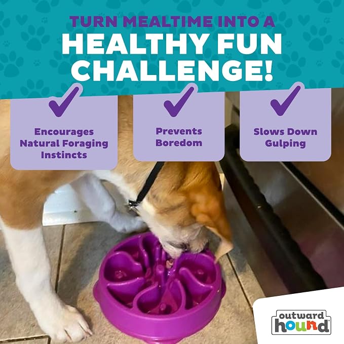 Outward Hound Fun Feeder Slo Bowl – Medium 2‑Cup Capacity,Slow Feeding,Small to Medium Dogs & Cats,Non-Slip,Purple,Flower Pattern,(Pack of 12) - Image 7
