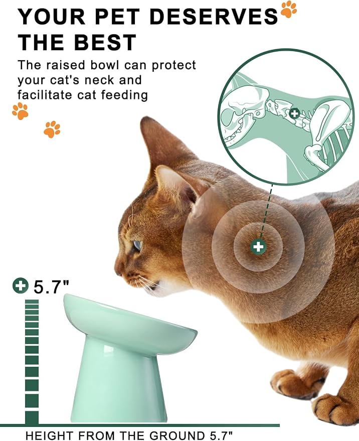 Y YHY Slow Feeder Cat Bowl, Ceramic Cat Slow Feeder Bowl, 6 Inches, Elevated, Anti Vomiting for Dry and Wet Food, Green - Image 4