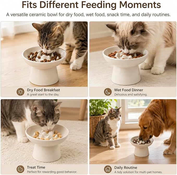 Cat Slow Feeder Bowl, Ceramic Elevated Cat Slow Feeder Bowl, Shallow Wide Opening Dish for Kitty, Anti Vomiting for Dry and Wet Food, Anti-Slip Design, White - Image 4
