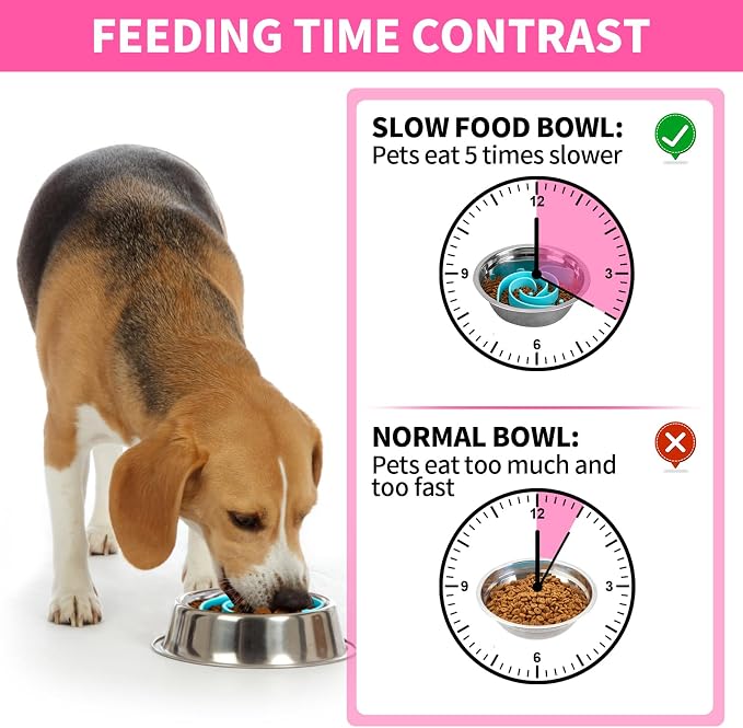 Slow Feeder Dog Bowls Insert, Bestalk Soft Silicone Slow Eating Feeder Insert with Suction Cups for Small, Medium and Large Dogs, Fit into Basic and Elevated Dog Bowls, Teal - Image 2