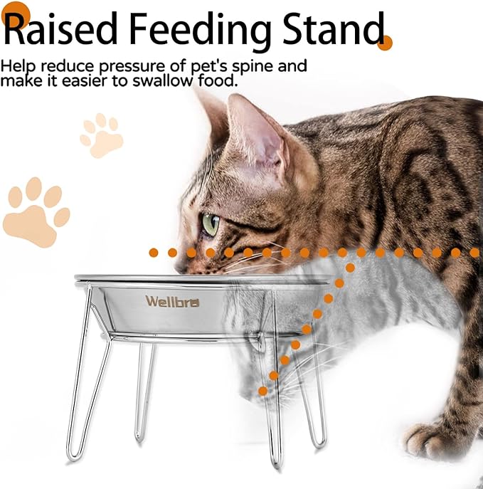 Elevated Cat Bowls, Wide Stainless Steel Cat Food Bowls with Metal Stand Whisker Stress-Free, Raised Food and Water Dish for Cats, Kitten, Puppies and Small Dogs - Image 2
