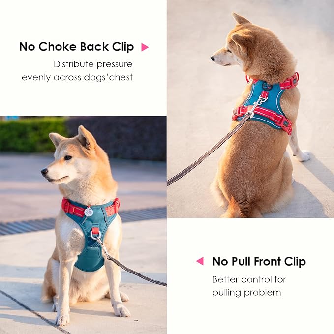 No Pull Dog Harness, Unique Colors Reflective Adjustable Dog Vest | with Soft Training Handle Metal Clips for Small Medium Large Dogs (Teal Base & Red Straps,M) - Image 3
