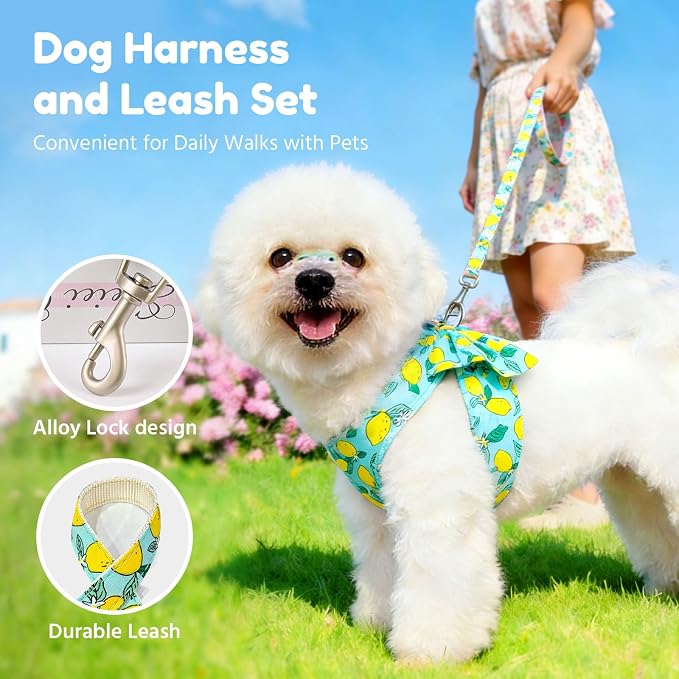 BAEJMJK Dog Harness and Leash Set with Bow Knot No Pull Pet Daisy Floral Harness with D-Ring Soft Mesh Dog Harness Vest Set Escape Proof Princess Puppy Harness for Small Girl Dogs Cats（Green M） - Image 7