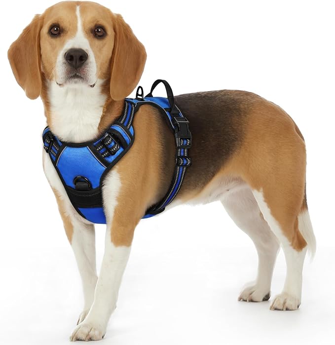 Eagloo Dog Harness for Small Dogs, No Pull Pet Vest with 2 Leash Clips | No Choke with Handle, Adjustable Comfort Fit, Reflective Strips, Easy Walking Control, Blue, Small by GoExplorewithEagloo