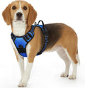 Eagloo Dog Harness for Small Dogs, No Pull Pet Vest with 2 Leash Clips | No Choke with Handle, Adjustable Comfort Fit, Reflective Strips, Easy Walking Control, Blue, Small by GoExplorewithEagloo