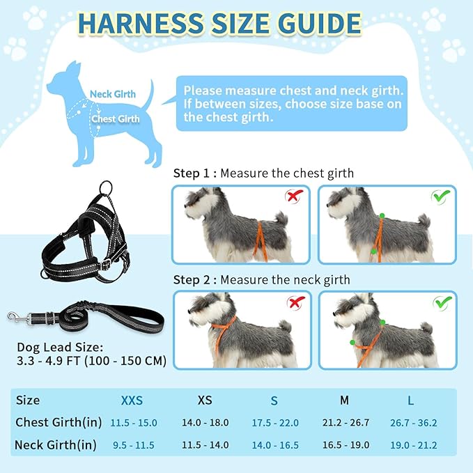 SlowTon No Pull Small Dog Harness and Leash Set with Front Clip | Soft Padded, Neck & Chest Adjustable, Lightweight, Anti-Twist, Puppy Vest Harness Pet Lead Combo for Small Medium Dog, B, XS - Image 5