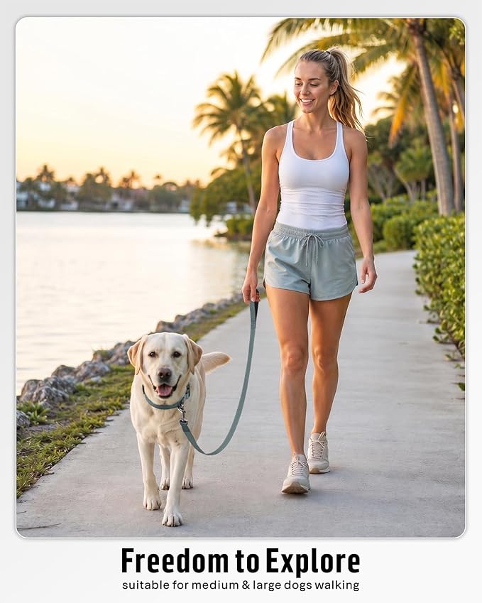 FunTags Reflective Nylon Dog Leash for Medium & Large Dogs, 6FT for Walks | Comfortable Padded Grip, Stay Safe at Night, 360° Anti-Tangle Swivel, for Dog Parks & Trails, Grey - Image 5