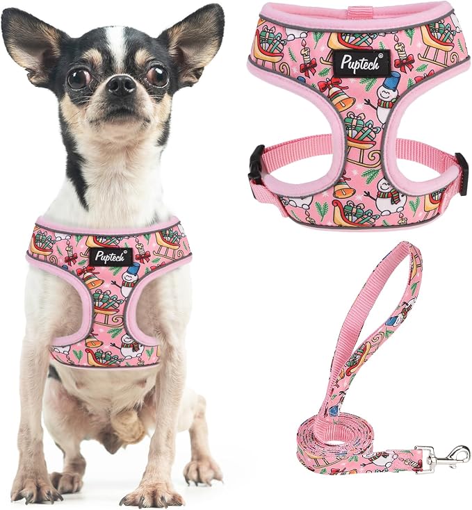 PUPTECK Small Dog Harness and Leash Set No Pull for XS XXS Sized Dogs Puppy | Escape Proof No Choke Pet Cat Adjustable Soft Padded Walking Vest by PUPTECK