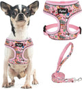 PUPTECK Small Dog Harness and Leash Set No Pull for XS XXS Sized Dogs Puppy | Escape Proof No Choke Pet Cat Adjustable Soft Padded Walking Vest by PUPTECK