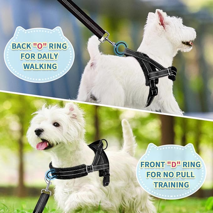 SlowTon No Pull Small Dog Harness and Leash Set with Front Clip | Soft Padded, Neck & Chest Adjustable, Lightweight, Anti-Twist, Puppy Vest Harness Pet Lead Combo for Small Medium Dog, B, XS - Image 4