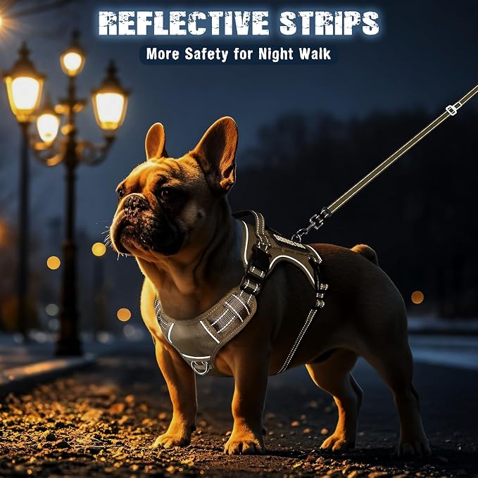 Tactical Dog Harness and Leash Set Small Sized Dog+10 Dog Patches | Adjustable No Pull Service Animal Dog Vest with Dog Seat Belt,Padded Handles,Reflective Easy Walk for Training Hiking Brown S - Image 7