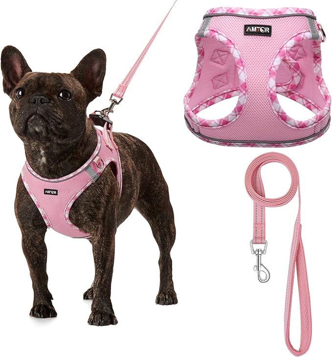 AMTOR Small Dog Harness with Leash Set, No Escape Easy Walk Puppy Harnesses for Training Walking, Step-in Reflective Soft Dogs Vest for XS S Medium Extra-Small Large Sized Dog(Pink/White,XL) by AMTOR