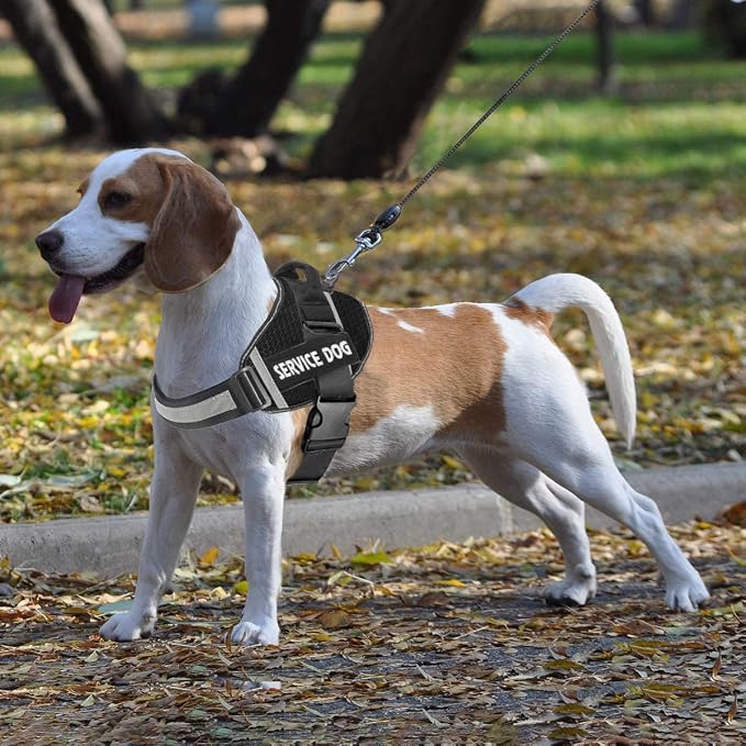JSXD Dog Harness,No-Pull Service Dog Harness with Handle Adjustable Outdoor Pet Dog Vest 3M Reflective Nylon Material Vest for Breeds,Easy Control for Small Medium Large Dogs (XXL, Black) - Image 7