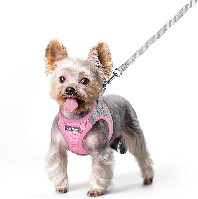 rabbitgoo Dog Harness Small Sized and Leash Set, Step-in Puppy Pet Vest | Light, Soft, Breathable Air Mesh, Easy on and Remove with Hook & Loop, Secure Reflective for Walking, Light Pink & Gray XS by rabbitgoo