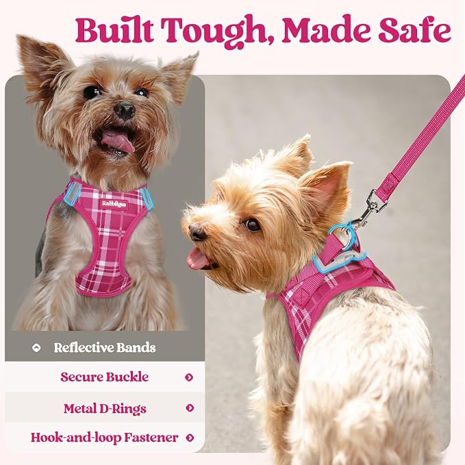 rabbitgoo Dog Harness Small Sized and Leash Set, Step-in Puppy Pet Vest | Light, Soft, Breathable Air Mesh, Easy on and Remove with Hook & Loop, Secure Reflective for Walking, Rose Red Plaid M - Image 6