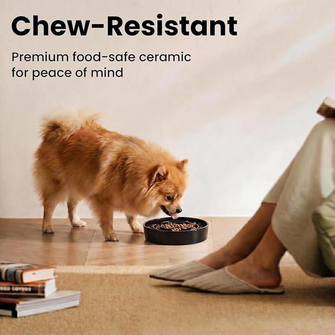 Ceramic Slow Feeder Dog Bowls 0.6 Cups for Small Fast Eaters,White | Reduces Bloating,6.02x1.38 Inch Dish For Daily Dog Meals, Maze Puzzle Slows Down Eating, Anti-Choking,9.0oz Water - Image 3